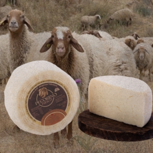 Formaggi e Salumi
